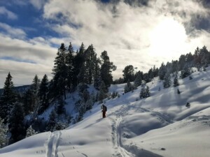 IMG-20241215-WA0006