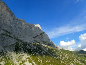 P8110496