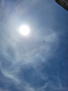 IMG-20240618-WA0004