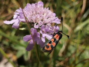 IMG_20240829_155303