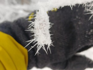 20260111_094608